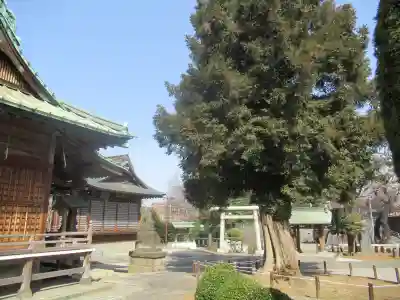 諏訪神社(東京都)