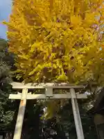 一山神社(埼玉県)
