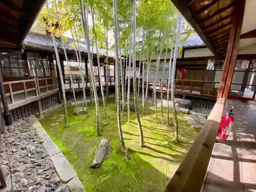 妙顯寺（妙顕寺）の庭園