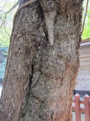 二上神社の自然