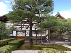 慈照寺（慈照禅寺・銀閣寺）の自然