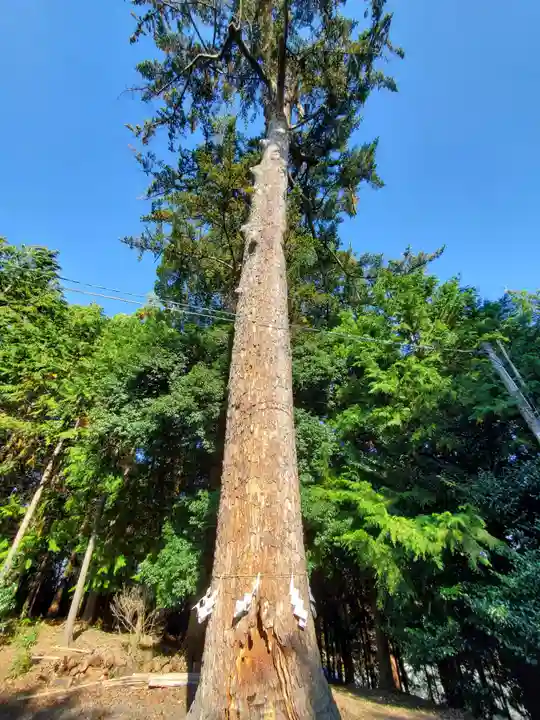 滑川神社 - 仕事と子どもの守り神(福島県)