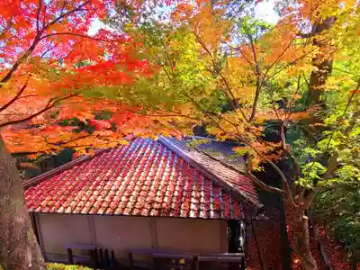 平等院(京都府)