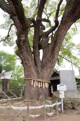 艮神社(広島県)