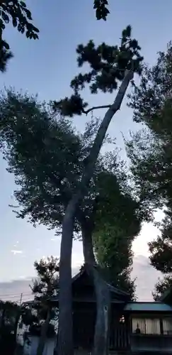 上小岩天祖神社(東京都)