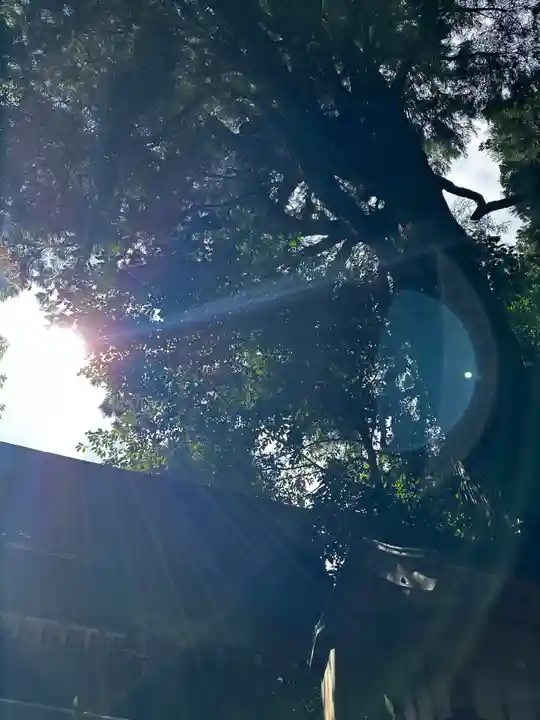 高千穂神社(宮崎県)