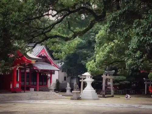 春日神社の本殿・本堂