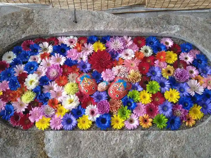 金井神社の手水舎