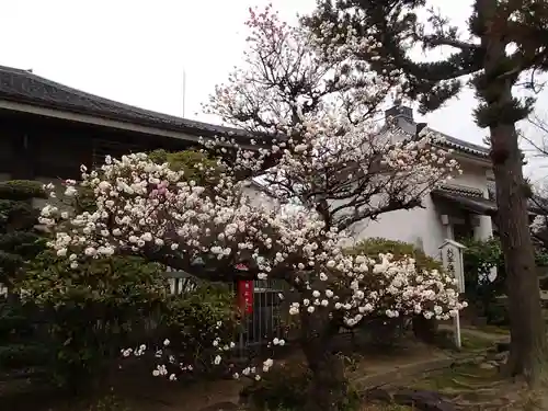 誉田八幡宮の自然