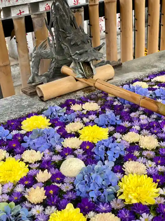 高円寺氷川神社(東京都)
