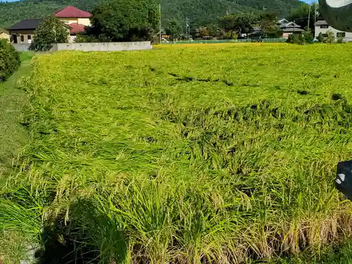 塩田八幡宮の自然