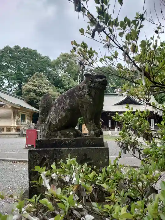 朝日森天満宮の狛犬