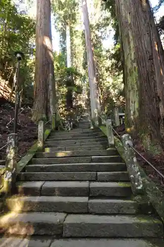 室生寺の建物その他