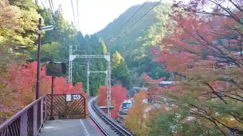 貴船神社の自然