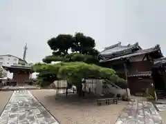 観音寺(三重県)