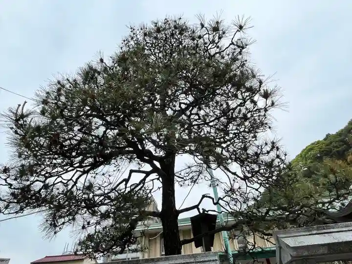 比治山神社(広島県)