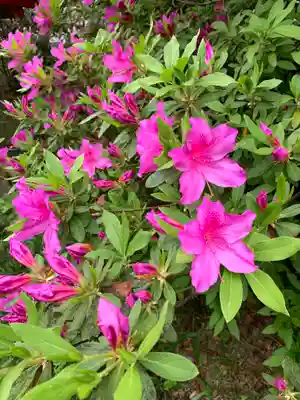 熊野神社（熊野町）(群馬県)