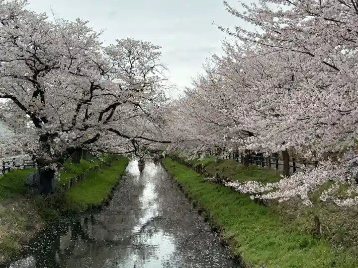 川越氷川神社の{uncategorized: "未分類", other: "その他", undefined: "問題あり", building: "その他建物", grave: "お墓", sacred_gate: "鳥居", guardian: "狛犬", statue: "像", buddha: "仏像", history: "歴史", nature: "自然", garden: "庭園", animal: "動物", pagoda: "塔", temizu: "手水舎", mountain_gate: "山門・神門", sanctuary: "本殿・本堂", subordinate: "末社・摂社", art: "芸術", scenery: "景色", jizo: "地蔵", ema: "絵馬", goshuin: "御朱印", omikuji: "おみくじ", items: "授与品その他", amulet: "お守り", goshuincho: "御朱印帳", eats: "食事", festival: "お祭り", votive_dance: "神楽", shichigosan: "七五三参", wedding: "結婚式", experience: "体験その他", initially: "初詣", around: "周辺", anti_infection: "感染症対策"}
