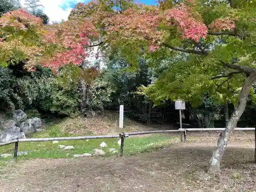 大覚寺(京都府)