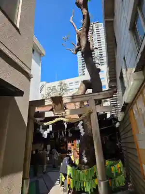 少彦名神社(大阪府)