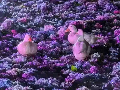 楽法寺(雨引観音)の動物