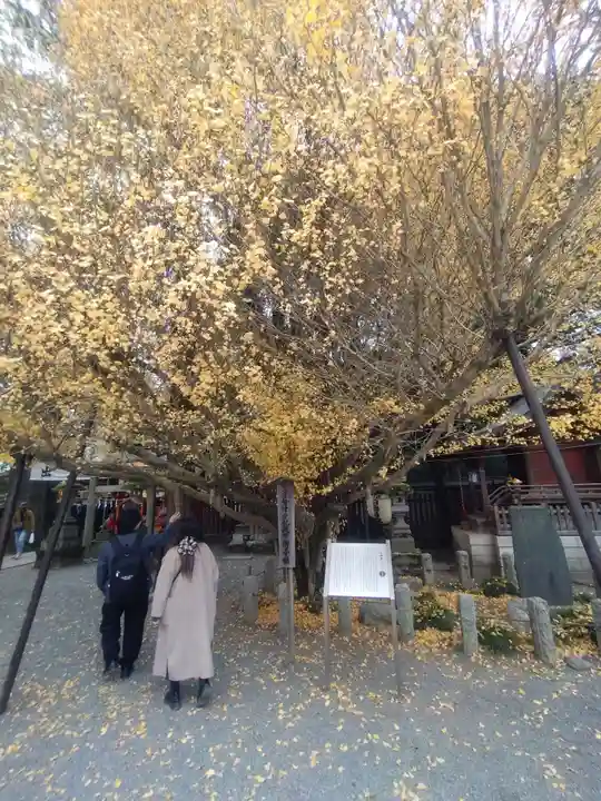 秩父神社(埼玉県)