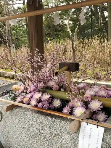 白山神社の手水舎