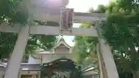出雲大社松山分祠の鳥居