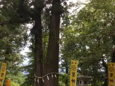 聖神社のその他建物