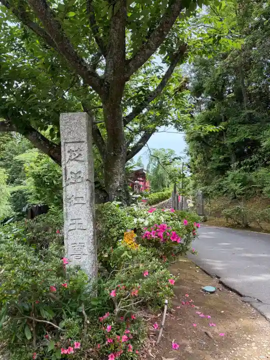 芝山仁王尊 観音教寺の{uncategorized: "未分類", other: "その他", undefined: "問題あり", building: "その他建物", grave: "お墓", sacred_gate: "鳥居", guardian: "狛犬", statue: "像", buddha: "仏像", history: "歴史", nature: "自然", garden: "庭園", animal: "動物", pagoda: "塔", temizu: "手水舎", mountain_gate: "山門・神門", sanctuary: "本殿・本堂", subordinate: "末社・摂社", art: "芸術", scenery: "景色", jizo: "地蔵", ema: "絵馬", goshuin: "御朱印", omikuji: "おみくじ", items: "授与品その他", amulet: "お守り", goshuincho: "御朱印帳", eats: "食事", festival: "お祭り", votive_dance: "神楽", shichigosan: "七五三参", wedding: "結婚式", experience: "体験その他", initially: "初詣", around: "周辺", anti_infection: "感染症対策"}