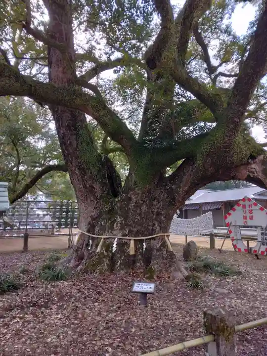 諫早神社(九州総守護 四面宮)(長崎県)