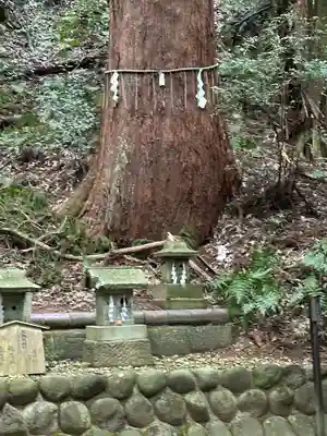 舟津神社(福井県)