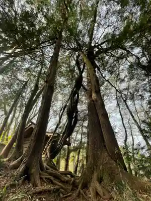 葛葉稲荷神社の自然