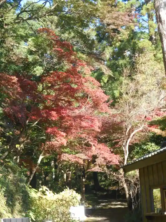 覚園寺(神奈川県)