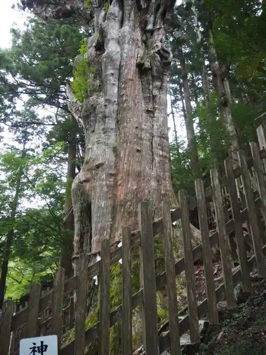玉置神社の{uncategorized: "未分類", other: "その他", undefined: "問題あり", building: "その他建物", grave: "お墓", sacred_gate: "鳥居", guardian: "狛犬", statue: "像", buddha: "仏像", history: "歴史", nature: "自然", garden: "庭園", animal: "動物", pagoda: "塔", temizu: "手水舎", mountain_gate: "山門・神門", sanctuary: "本殿・本堂", subordinate: "末社・摂社", art: "芸術", scenery: "景色", jizo: "地蔵", ema: "絵馬", goshuin: "御朱印", omikuji: "おみくじ", items: "授与品その他", amulet: "お守り", goshuincho: "御朱印帳", eats: "食事", festival: "お祭り", votive_dance: "神楽", shichigosan: "七五三参", wedding: "結婚式", experience: "体験その他", initially: "初詣", around: "周辺", anti_infection: "感染症対策"}