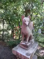 大江神社の狛犬