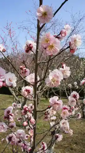 梅林寺(福島県)
