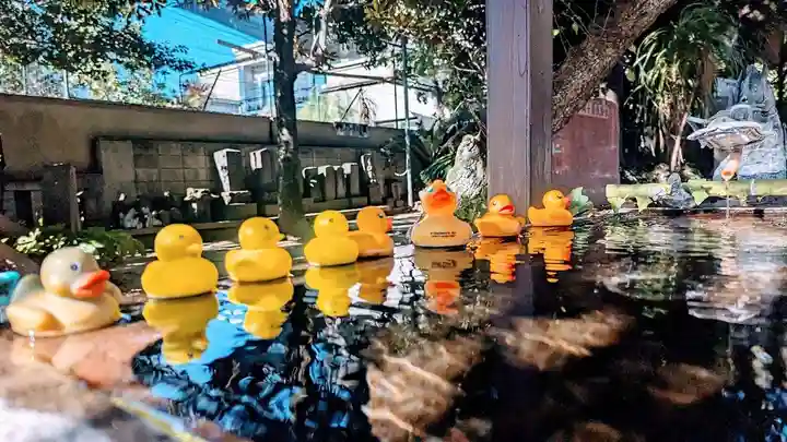 柏諏訪神社の手水舎