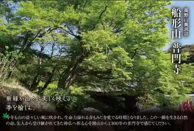 普門寺(切り絵御朱印発祥の寺)のその他建物