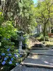 天台寺の自然