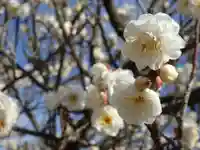 宗徳寺(愛知県)