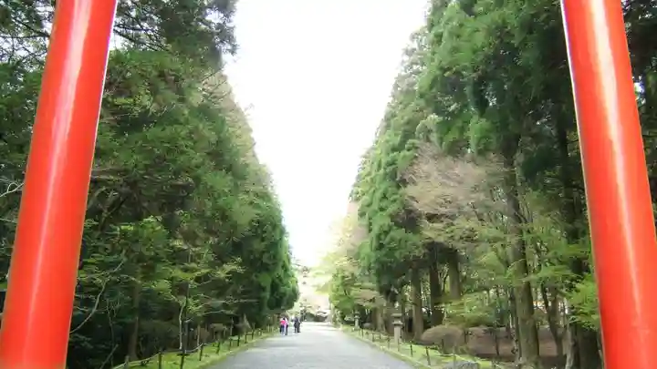 霧島神宮(鹿児島県)