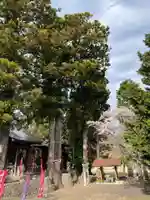 高司神社〜むすびの神の鎮まる社〜(福島県)