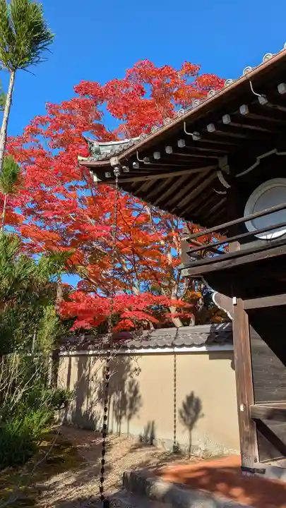 源光庵(京都府)