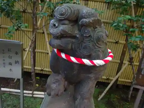 高円寺氷川神社の狛犬