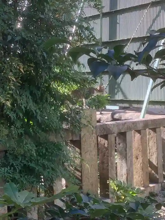 三輪神社の動物