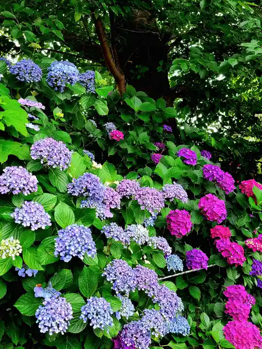 稲荷神社(愛知県)