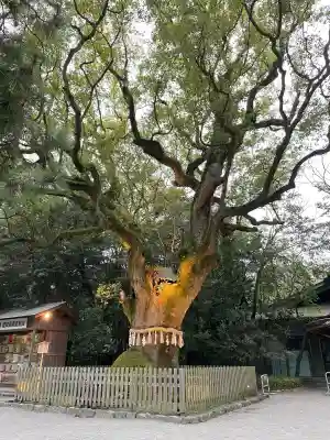 熱田神社の{uncategorized: "未分類", other: "その他", undefined: "問題あり", building: "その他建物", grave: "お墓", sacred_gate: "鳥居", guardian: "狛犬", statue: "像", buddha: "仏像", history: "歴史", nature: "自然", garden: "庭園", animal: "動物", pagoda: "塔", temizu: "手水舎", mountain_gate: "山門・神門", sanctuary: "本殿・本堂", subordinate: "末社・摂社", art: "芸術", scenery: "景色", jizo: "地蔵", ema: "絵馬", goshuin: "御朱印", omikuji: "おみくじ", items: "授与品その他", amulet: "お守り", goshuincho: "御朱印帳", eats: "食事", festival: "お祭り", votive_dance: "神楽", shichigosan: "七五三参", wedding: "結婚式", experience: "体験その他", initially: "初詣", around: "周辺", anti_infection: "感染症対策"}