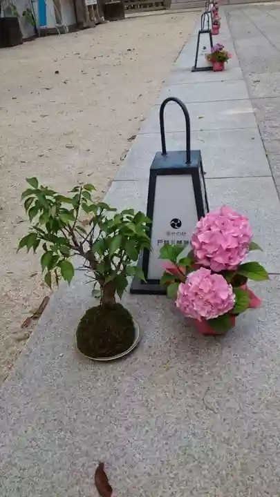 戸越八幡神社(東京都)