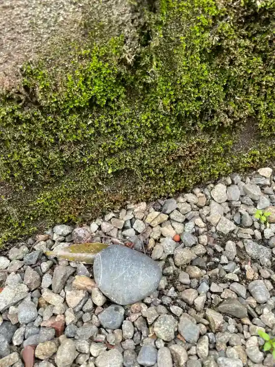 白金龍王社の{uncategorized: "未分類", other: "その他", undefined: "問題あり", building: "その他建物", grave: "お墓", sacred_gate: "鳥居", guardian: "狛犬", statue: "像", buddha: "仏像", history: "歴史", nature: "自然", garden: "庭園", animal: "動物", pagoda: "塔", temizu: "手水舎", mountain_gate: "山門・神門", sanctuary: "本殿・本堂", subordinate: "末社・摂社", art: "芸術", scenery: "景色", jizo: "地蔵", ema: "絵馬", goshuin: "御朱印", omikuji: "おみくじ", items: "授与品その他", amulet: "お守り", goshuincho: "御朱印帳", eats: "食事", festival: "お祭り", votive_dance: "神楽", shichigosan: "七五三参", wedding: "結婚式", experience: "体験その他", initially: "初詣", around: "周辺", anti_infection: "感染症対策"}